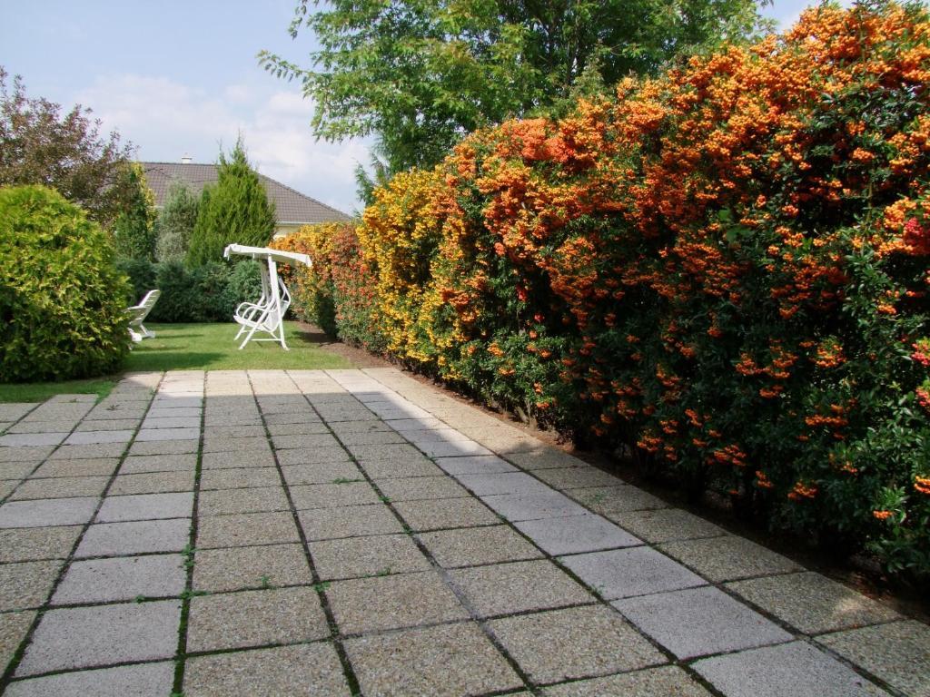 Rajna Apartmanház Bogács Exterior foto